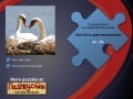 Παιχνίδι Swans Puzzle