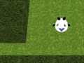 Παιχνίδι Panda Hates Mazes