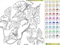 Παιχνίδι Kid's coloring: Flowers for Butterflies