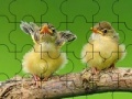 Παιχνίδι Two cute sparrow puzzle