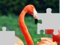 Παιχνίδι Flamingo puzzle