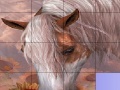 Παιχνίδι Slide Puzzle: Horse