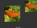 Παιχνίδι Orange Butterfly