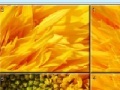 Παιχνίδι Sunflower Slider