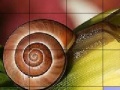 Παιχνίδι Snail and flower slide puzzle