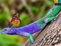 Παιχνίδι Lizard and butterflies puzzle