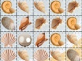 Παιχνίδι Sea Shells