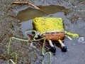 Παιχνίδι SpongeBob Found Dead Jigsaw Puzzle