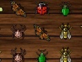 Παιχνίδι Insect Crush