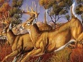 Παιχνίδι Runner deers slide puzzle