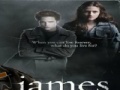 Παιχνίδι Twilight-James Jigsaw
