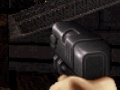 Παιχνίδι Duke Nukem: FPS