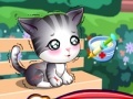 Παιχνίδι Doc Mcstuffins: stray kitten caring