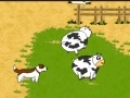 Παιχνίδι Piggy Cow