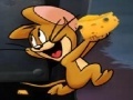Παιχνίδι Tom and Jerry Show: Run jerry run