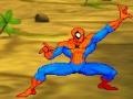 Παιχνίδι Spiderman: Hero Training 