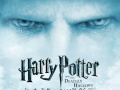 Παιχνίδι Harry Potter and the deathly Hallows Find the Numbers