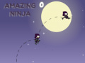 Παιχνίδι Amazing Ninja