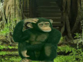Παιχνίδι Chimpanzee Forest Escape