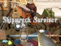 Παιχνίδι Shipwreck Survivor