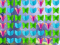 Παιχνίδι Butterfly Collector