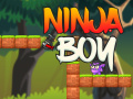 Παιχνίδι Ninja Boy