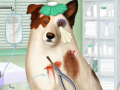 Παιχνίδι Doctor For Dog With a Blog