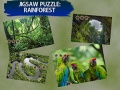 Παιχνίδι Jigsaw Puzzle Rain Forest 