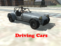 Παιχνίδι Driving Cars