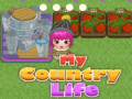 Παιχνίδι My County Life