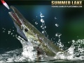 Παιχνίδι Summer Lake