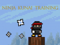 Παιχνίδι Ninja Kunai Training