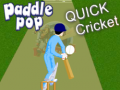 Παιχνίδι Paddle Pop Quick Cricket