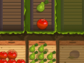 Παιχνίδι Fruit Gardener