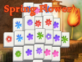 Παιχνίδι Spring Flower