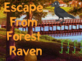 Παιχνίδι Escape from Forest Raven