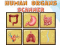 Παιχνίδι Human Organs Scanner
