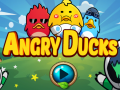 Παιχνίδι Angry Ducks