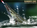 Παιχνίδι Summer Lake 1.5