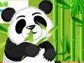 Παιχνίδι Panda Care