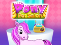 Παιχνίδι Pony Pet Salon