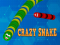 Παιχνίδι Crazy Snake