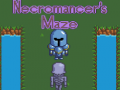 Παιχνίδι Necromancer's Maze