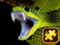 Παιχνίδι Snake Puzzle Challenge
