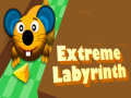 Παιχνίδι Extreme Labyrinth