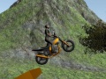 Παιχνίδι Dirt Bike Rider