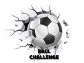 Παιχνίδι Ball Challenge