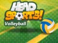 Παιχνίδι Head Sports Volleyball
