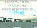 Παιχνίδι Airplane Flying Expierence