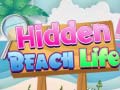 Παιχνίδι Hidden Beach Life